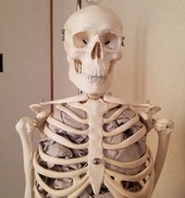 ジャンプは骨を強くする