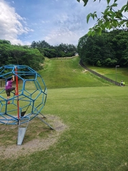 子どもの体力とスタミナ