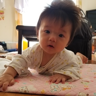 ハイハイはたくさんしてね！