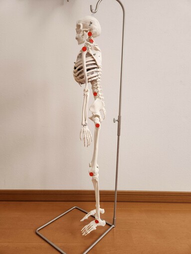 気になる子供の姿勢