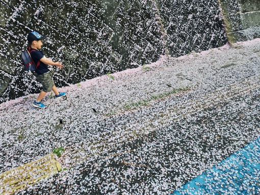 年少少から3キロ歩いて登園