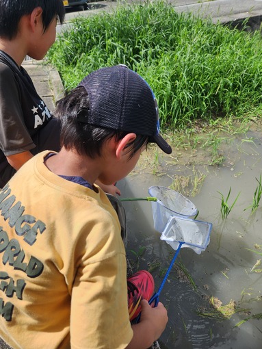 暑いなぁ…夏だもんなぁ…笑