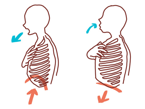 肋骨が動くと？？