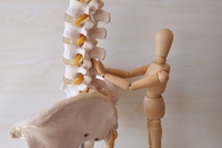 首をゆるめて長く